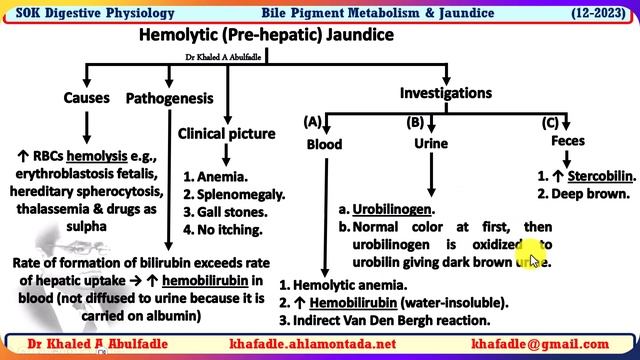 Bile Pigment Metabolism & Jaundice Physiology (12-2023) by Dr Khaled A Abulfadle смотреть онлайн