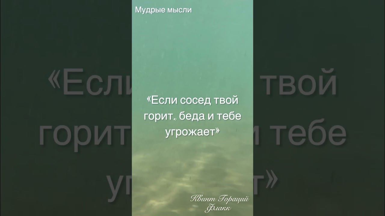 Мудрые мысли: Если сосед твой горит, беда и тебе угрожает #цитаты #мудрыеслова #соседи смотреть онлайн