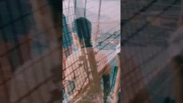 ✨Rishikesh memories✨RAM JHULA #trendingvideos #thedilakshow #trip #rishikesh смотреть онлайн