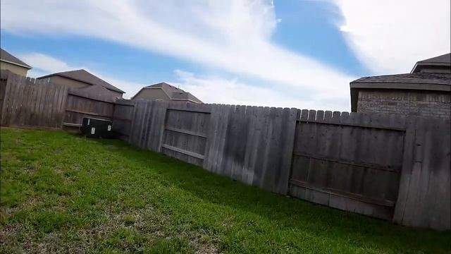 Pavo Pico - I need to stick to Freestyle birds!! смотреть онлайн