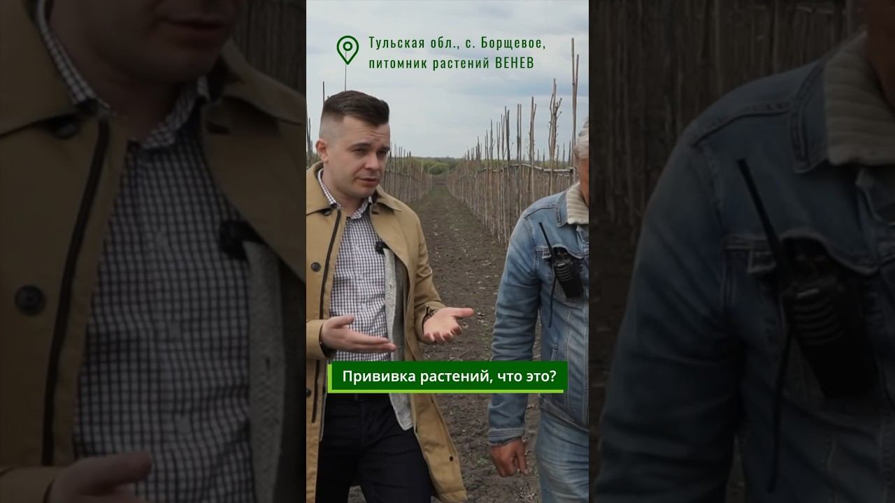 Что такое прививка растений смотреть онлайн