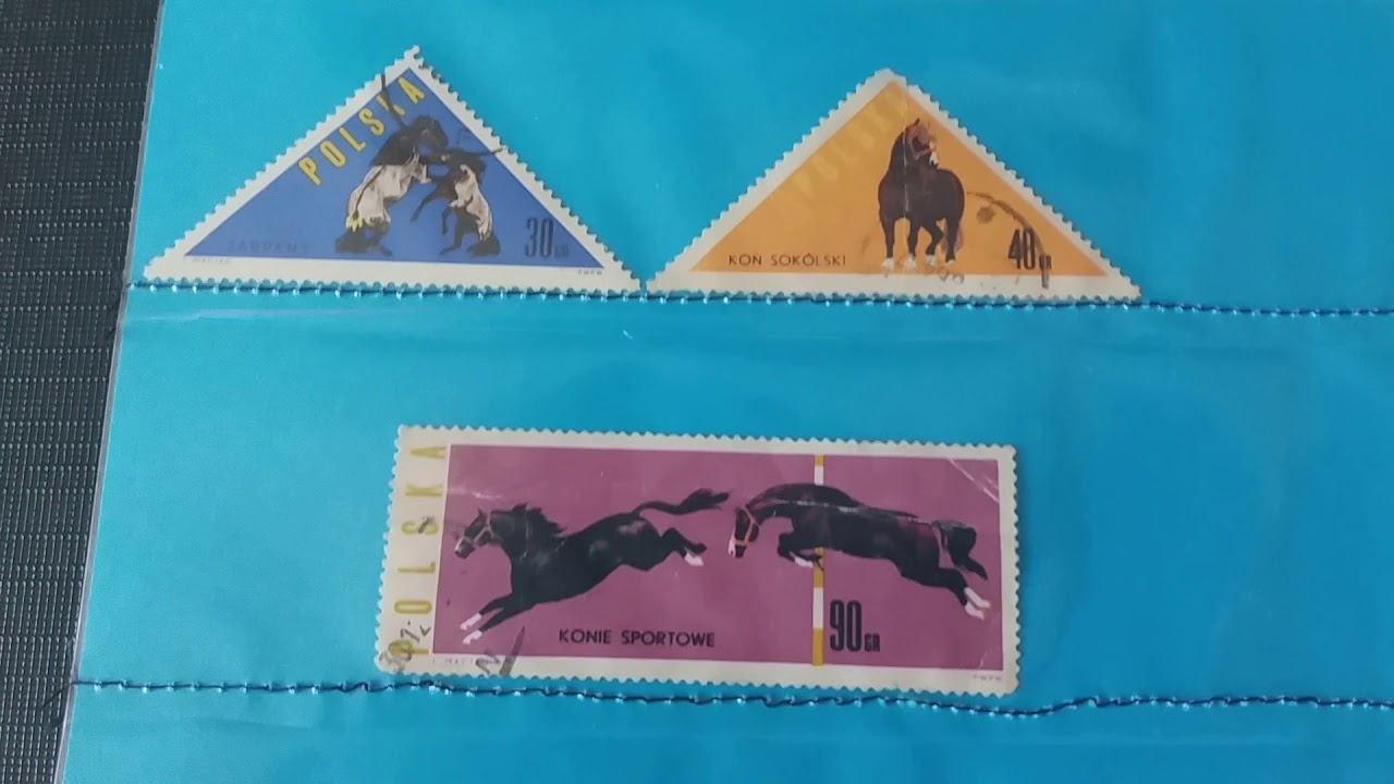 Польша смотреть онлайн