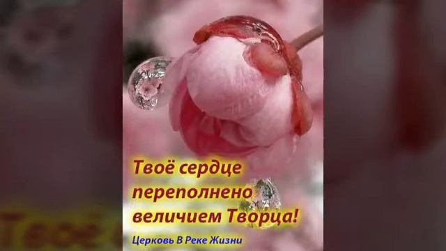 Эра Ц.Б. Причастники Божеского Естества. (часть 17 ). 09.05.2018. Старший пастор Людмила Мастерова. смотреть онлайн