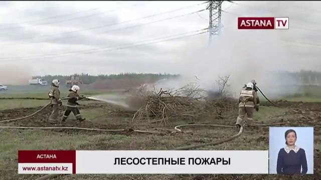 Почти 30 тыс. кв. м. сухостоя сгорело на территории Астаны с начала года смотреть онлайн
