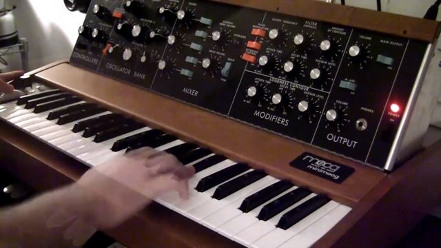 Minimoog Live Loop Session