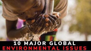 Top 10 Major Global Environmental Issues In The World - List Of Global Environmental Problems [2021