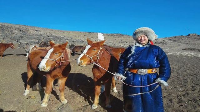 MAGNAI смотреть онлайн