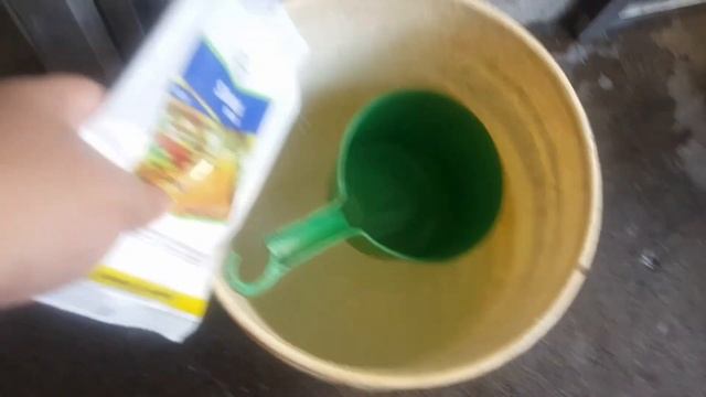 HOW TO KILL TICK AND FLEA TO YOUR HOUSE.USING SEVIN POWDER. смотреть онлайн