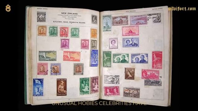 MODULE 2. TOPIC 3 HOBBY. Celebrities with unusual hobbies. стр114 Video 2 смотреть онлайн