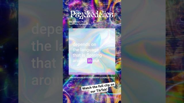 Episode Clip: Psychedelics And Culture #philosophy #podcast #overthink