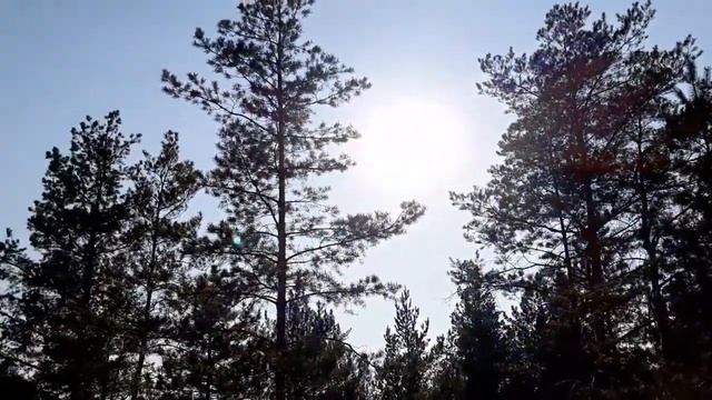 Дай пить из Рук Твоих Любовь смотреть онлайн