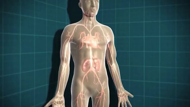 Saxr Belgilari Va Alomatlari