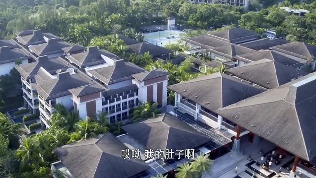 MULTISUB青春励志剧《恋爱吧就现在fall in love now》02新娘鞠婧祎结婚当天被放鸽子意外邂逅泳坛王子Mike，成为欢喜冤家收获梦想与爱情《我的奇妙男友2》《嘉南传》❤️丸子甜剧社 смотреть онлайн