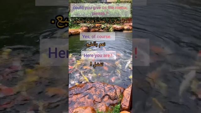 لنتعلم اللغة الانجليزية смотреть онлайн