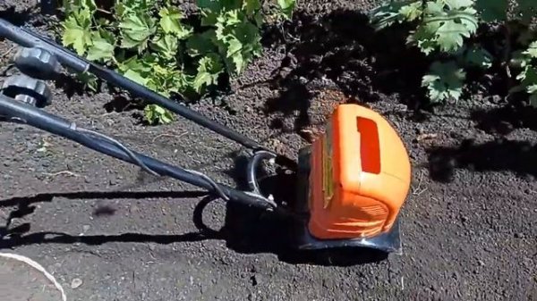 Глубина посадки винограда в средней полосе.