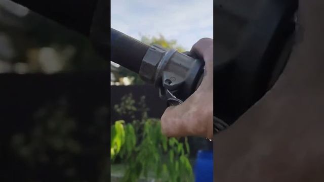 полный ролик https://youtu.be/bwMNfRf6CY0 #яабиссинщик смотреть онлайн