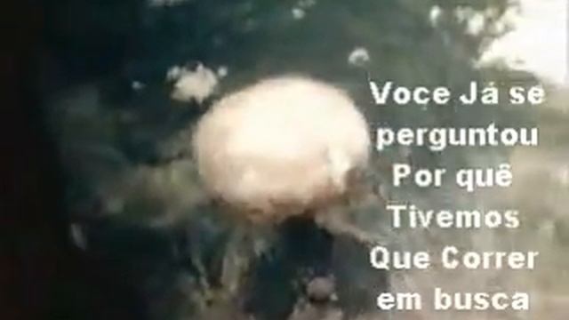 pink floyd Goodbye Blue Sky Adeus Céu Azul.wmv смотреть онлайн