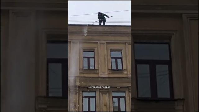 мы живём в то время, когда человеческая жизнь не несёт никакой ценности. согласны? смотреть онлайн