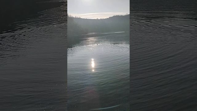 Купання взимку смотреть онлайн