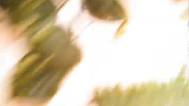 Custom Tegu Enclosure + Construction tips. Part 1 of 2. смотреть онлайн