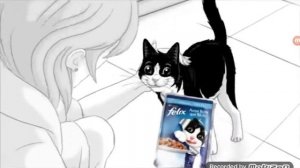 Purina Felix Suisse