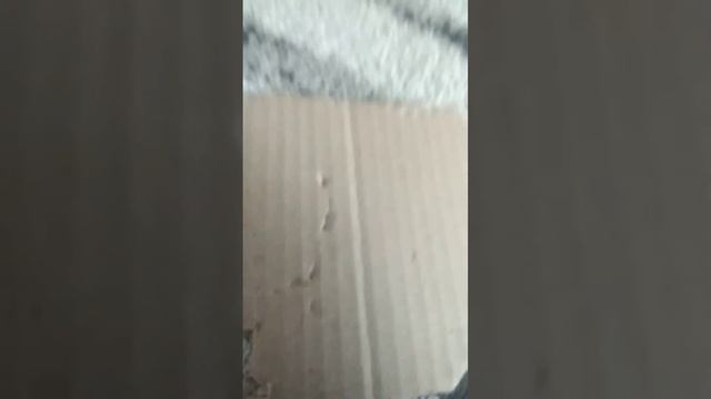 2 часть маски из картона( читайте описание у 1 части) смотреть онлайн