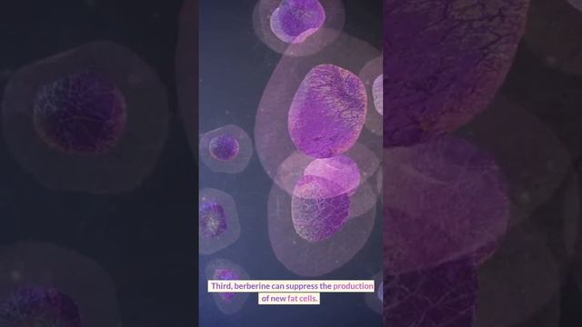 Unlock the Power of Berberine for a Slimmer You! смотреть онлайн