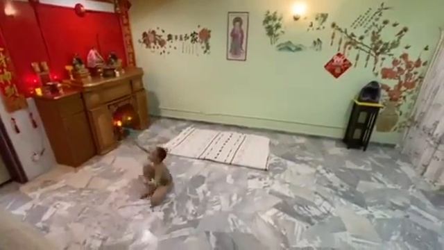 Malaysia KINETIC DANCE ACADEMY Neo Xin Yue Pre Junior Clubs смотреть онлайн
