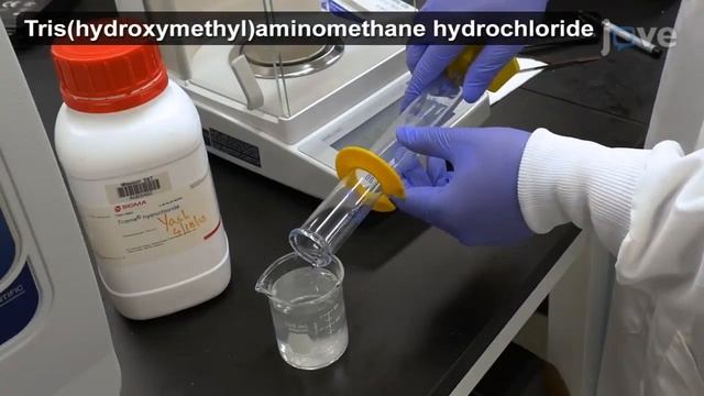 Bio-Inspired Polydopamine Surface Modification-Nanodiamonds & Reduction l Protocol Preview смотреть онлайн