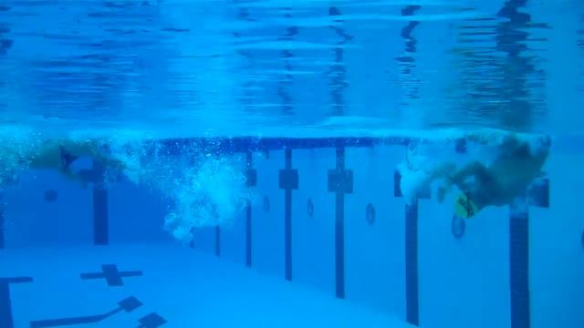 Drew freestyle flip turn with tempo trainer @ 1.0 смотреть онлайн