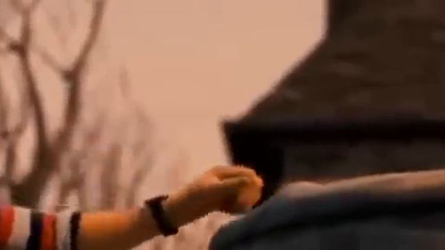 A Casa Monstro-Completo Dublado Português-HD