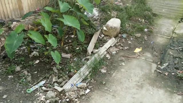 Cheap foreclosed property in Montalban Rizal 🏡 Foreclosed viewing PH смотреть онлайн
