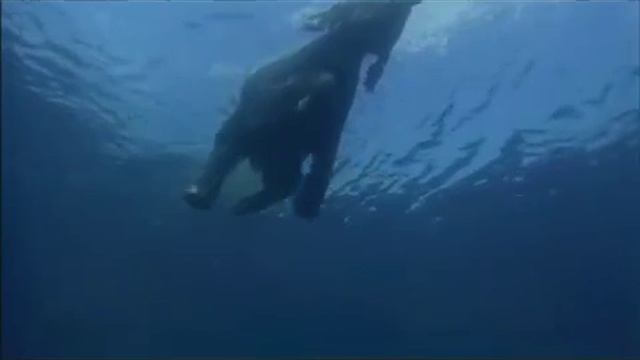 Философия воды и её свойства