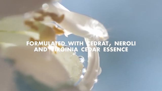 Chloe Chloe Eau De Parfum Naturelle