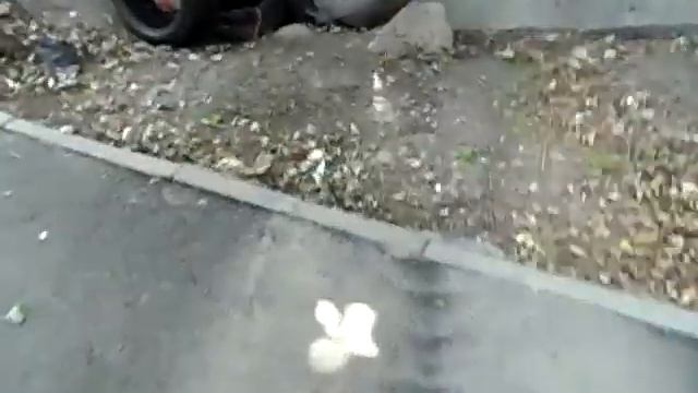 лето прогулка 3, Zarina Winter смотреть онлайн