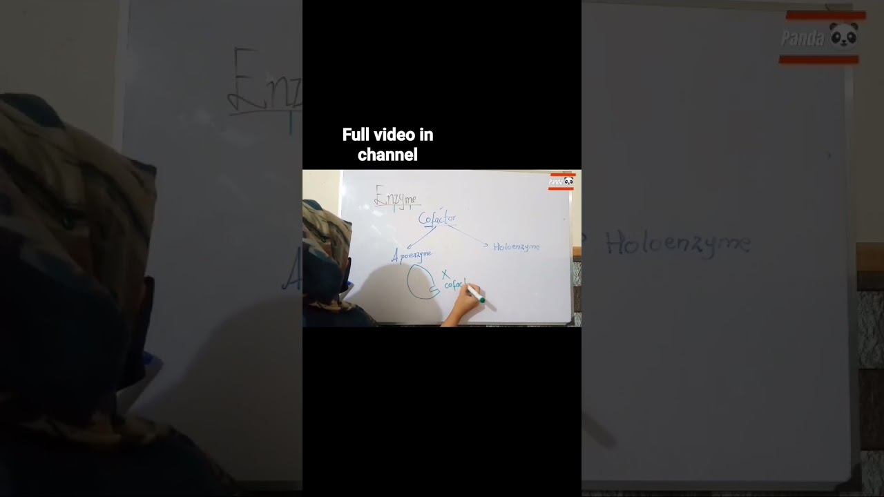 Apoenzyme vs Holoenzyme. #biology #mdcat #enzymes смотреть онлайн