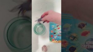 Игрушки рыбки из магазина Магнит Косметикс.