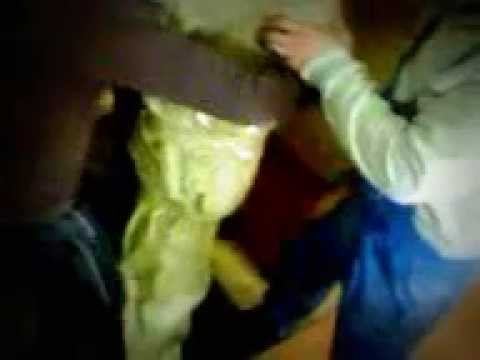 человек улитка смотреть онлайн