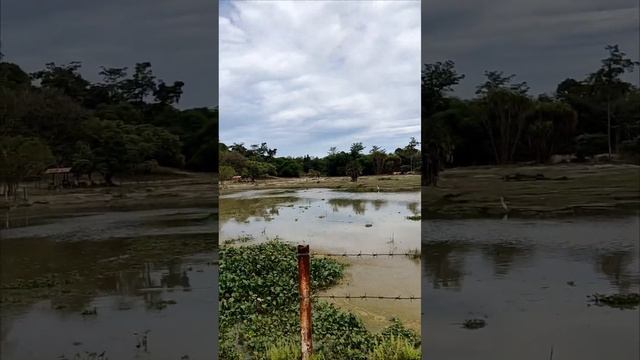 Природа остров Рача. Экскурсия Рая Корал. Таиланд за 50 тысяч рублей с перелетом. @tutsi-dieti смотреть онлайн