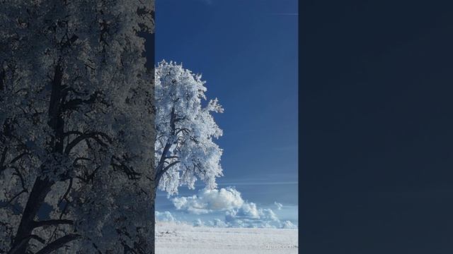 красивая музыка для релакса смотреть онлайн