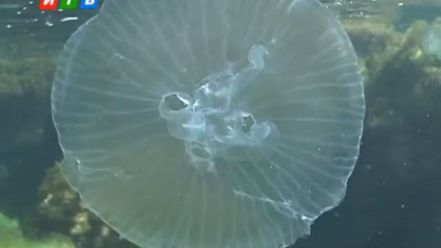 Акваклуб 01.09.2013 смотреть онлайн