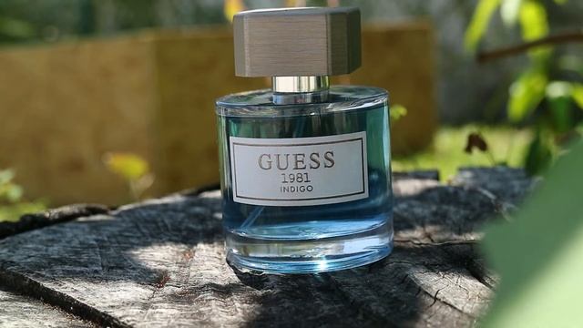 GUESS INDIGO 1981(Español) смотреть онлайн