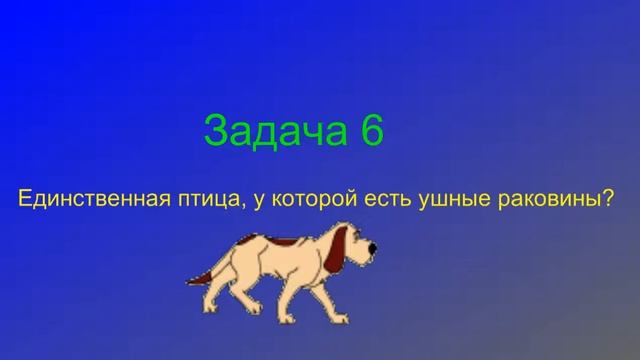 10 Задач на логику с ответами, часть 2