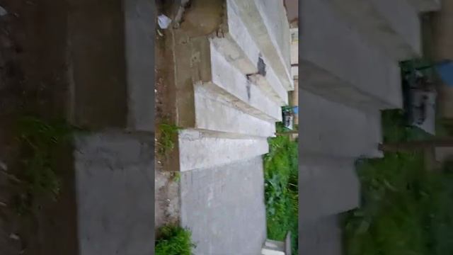 мы гуляем с Милкой новая утя смотреть онлайн