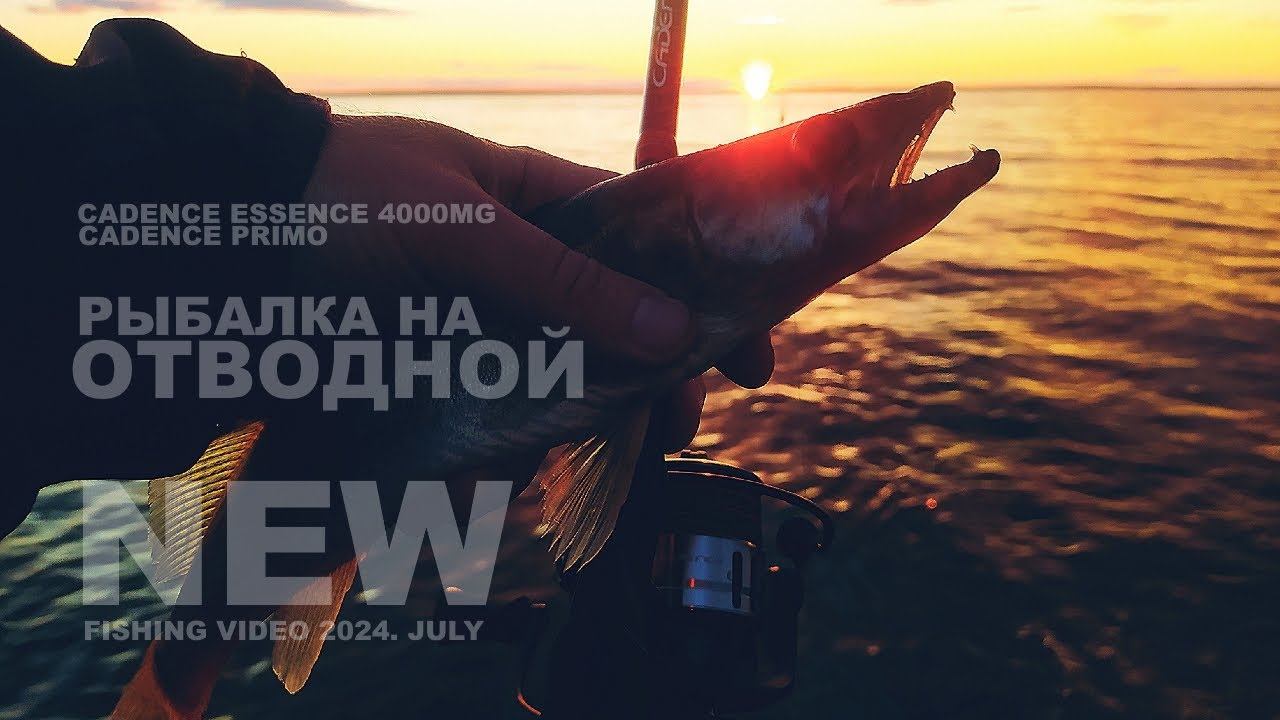 РЫБАЛКА на ОТВОДНОЙ поводок. Cadence Primo + катушка Cadence Essence 4000MG. Лучшая катушка 2024 ?! смотреть онлайн