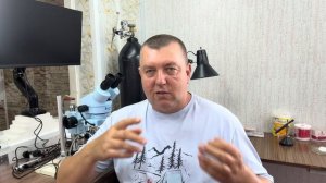 Пчеловодство в России.Точка невозврата.