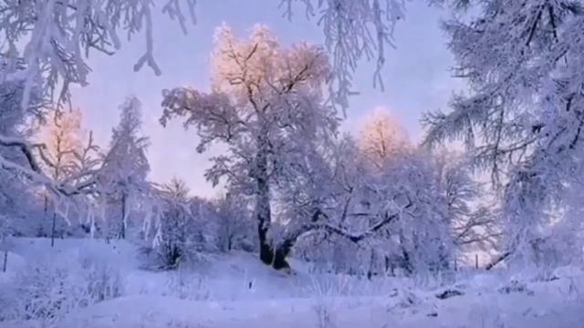 Дистанционное музыкальное занятие