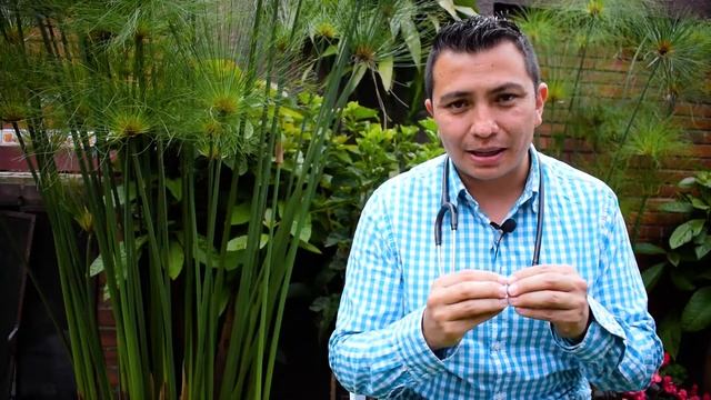 1,2,3 medicina veterinaria - PURINA COLOMBIA смотреть онлайн