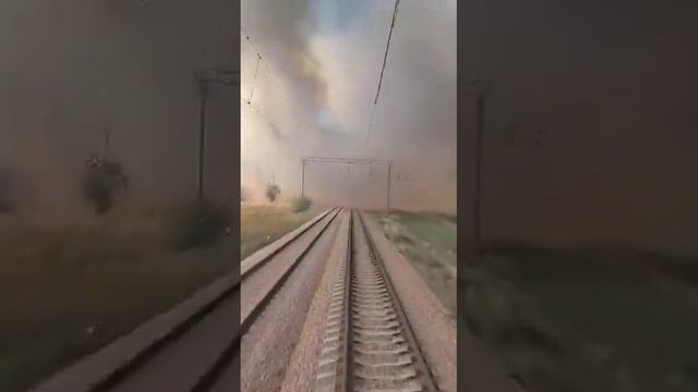 поезд едет сквозь лесной пожар #казахстан #костанай смотреть онлайн