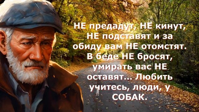 Правдивые Цитаты о Предательстве! Если вас предали, послушайте это и вам станет лучше. смотреть онлайн